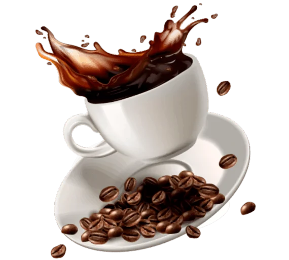 TIME DISCOVER COFFEE HOUSE